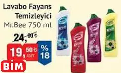 MR.BEE LAVABO FAYANS TEMİZLEYİCİ